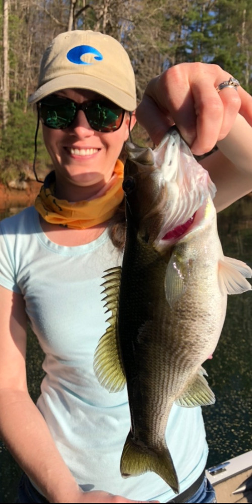 Zona Case Story Catch