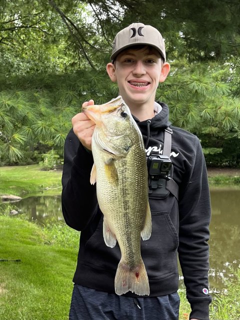 Gavin Wade Story Catch