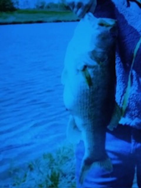 Austin Moore Story Catch