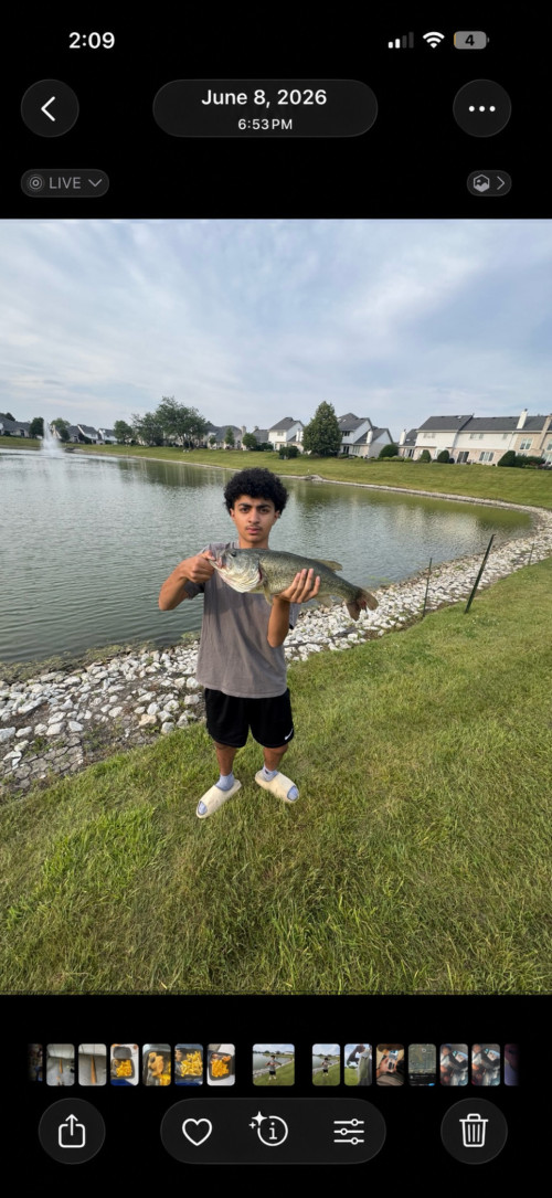 Abdallah Hamad Story Catch