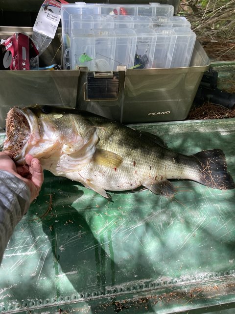 Timothy Heath Story Catch