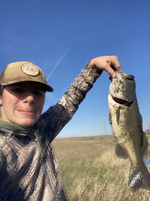 Hunter Ginson Story Catch