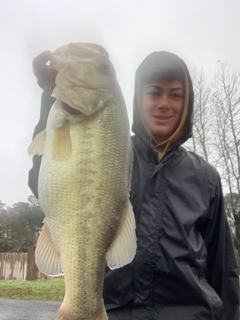 William Bates Story Catch