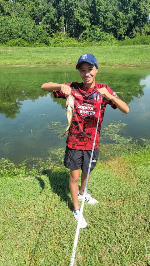 Fabian Perez Story Catch