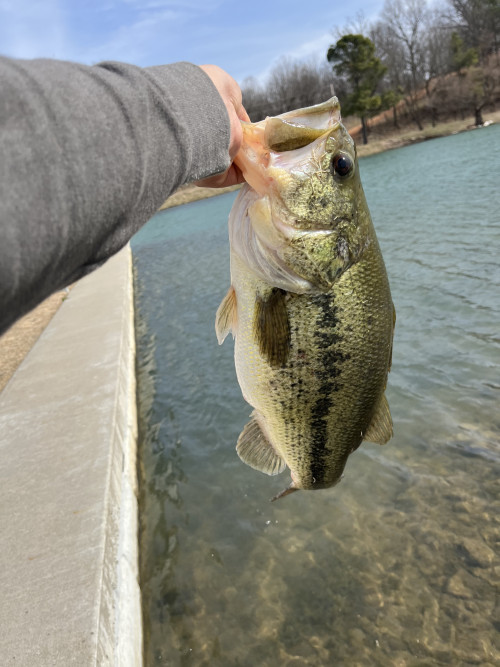 Braydon Russell Story Catch