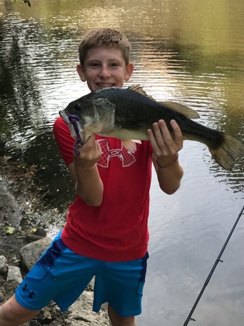 Gavin Wade Story Catch