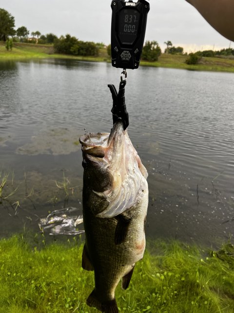 Jordan Yamson Story Catch