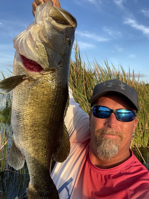 Jim Fallon Story Catch