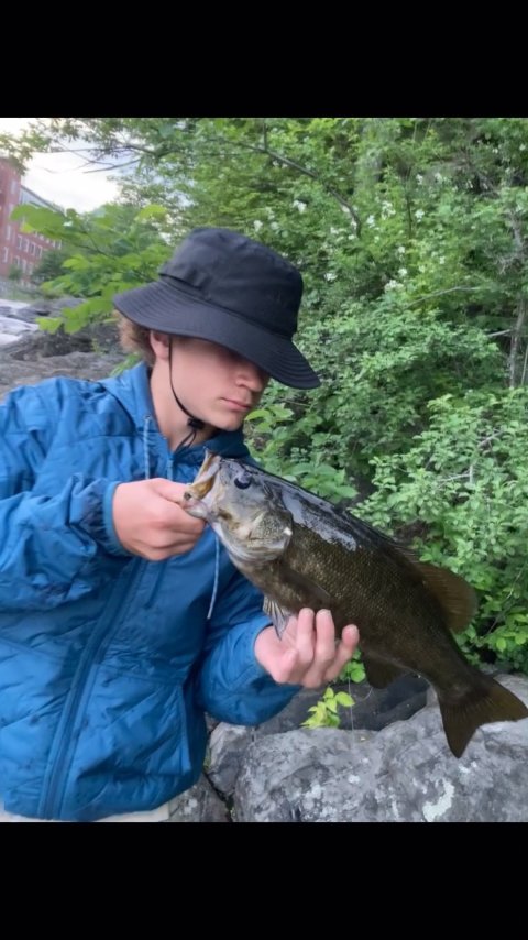 Gavin Stone Story Catch