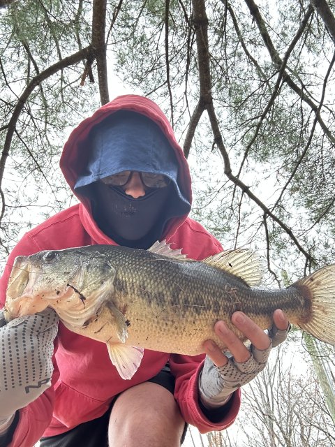 Keegan Burek Story Catch