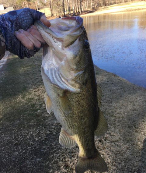 Michael Yoder Story Catch