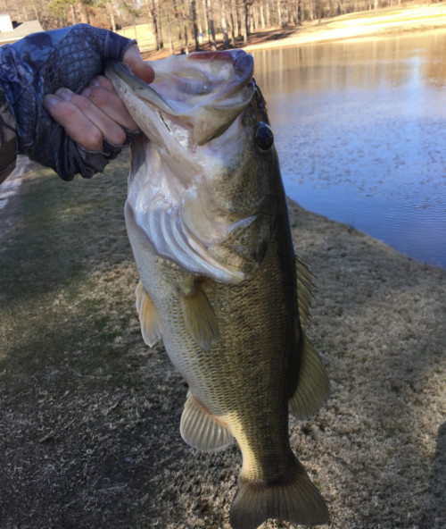 Michael Yoder Story Catch