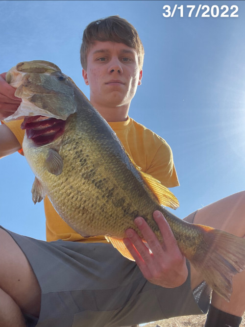 Kennon Windsor Story Catch