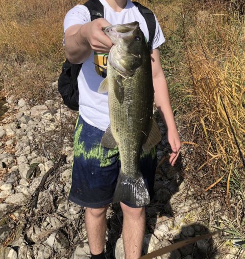 Andrew Chamkin Story Catch