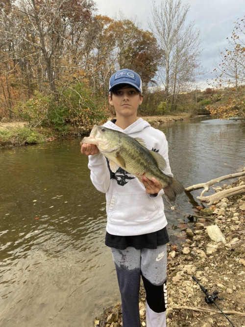 Koen Volpi Story Catch