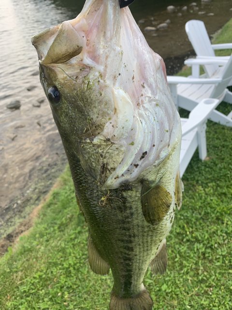 Kevin Bouma Story Catch