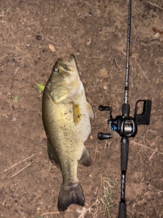 Diego Martinez Story Catch