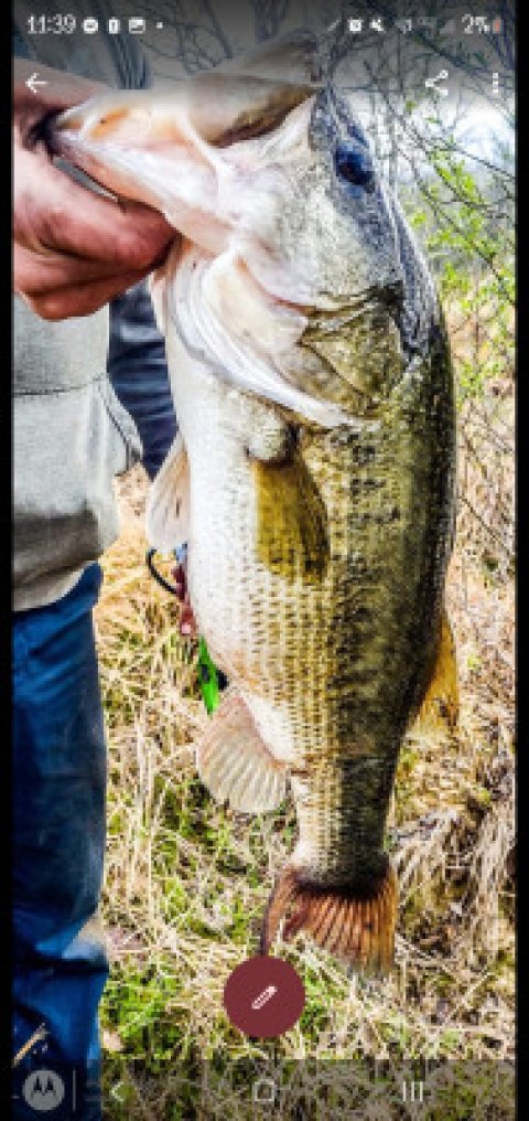 Lindsey Jaudon Story Catch