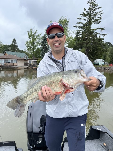 Greg Hall Story Catch