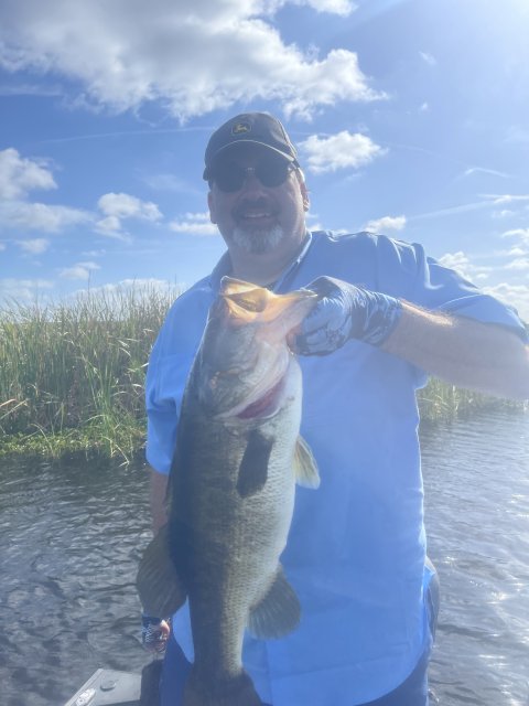 Donald Haack Story Catch