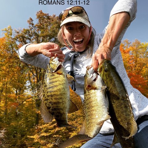 Abby Lewis Story Catch