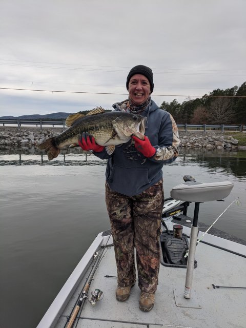 Shane Knott Story Catch