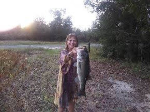 Tammy Floyd Story Catch