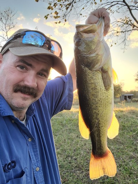 William Vest Story Catch