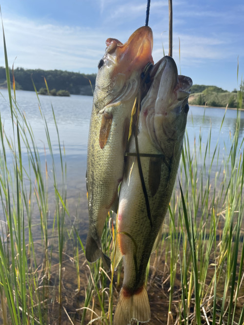 Miguel Quinteros Story Catch