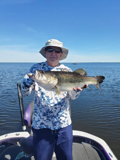 Terry Crites Story Catch