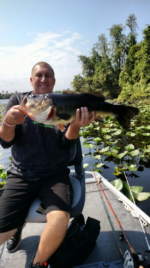 Jim Gore Story Catch