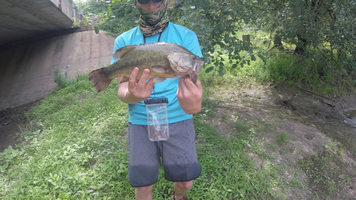 Gavin Wade Story Catch