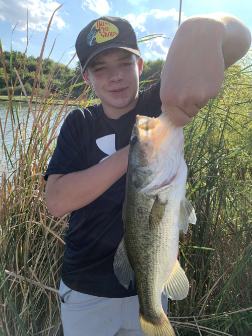 Colton Cox Story Catch