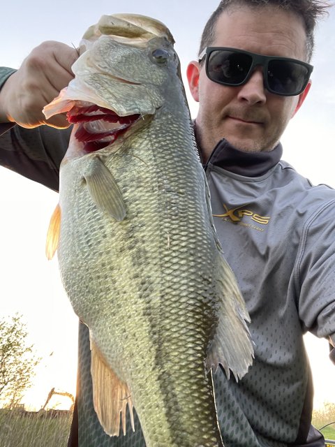 Frank Kostuch Story Catch