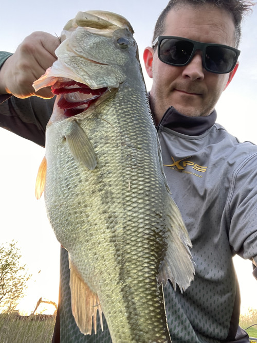 Frank Kostuch Story Catch