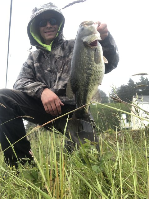 Ryan Mizee Story Catch