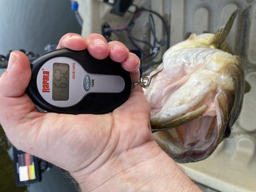 Dayne Goldsmith Story Catch