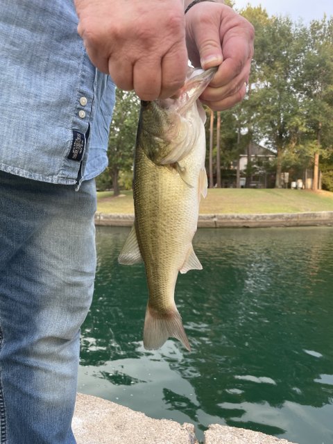 Jason Romero Story Catch