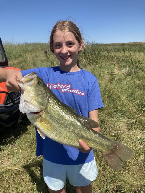 Hadley Huseman Story Catch