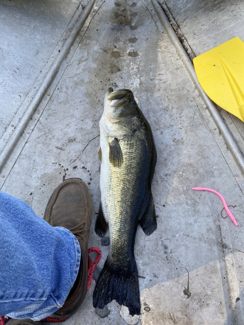 James Holmes Story Catch