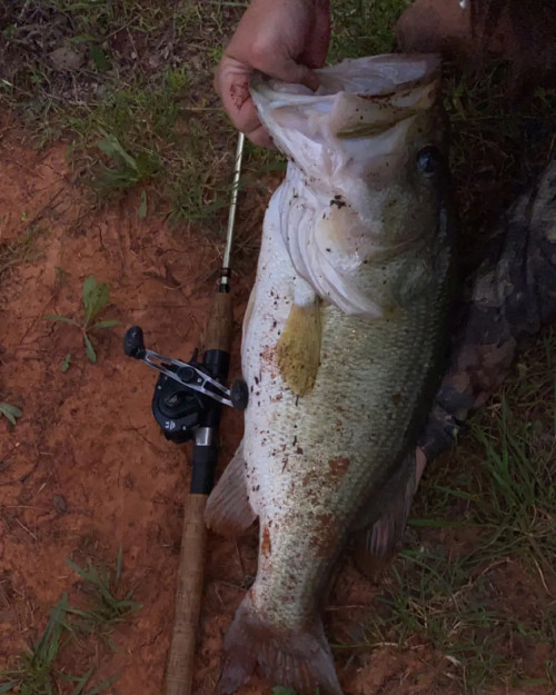 Toby Bradforf Story Catch