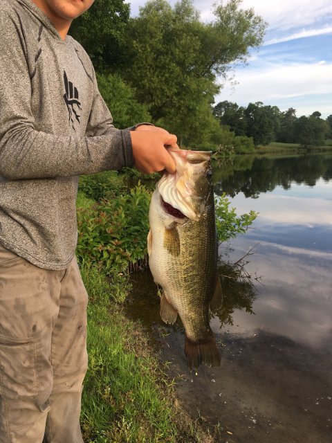 Alex Wagler Story Catch