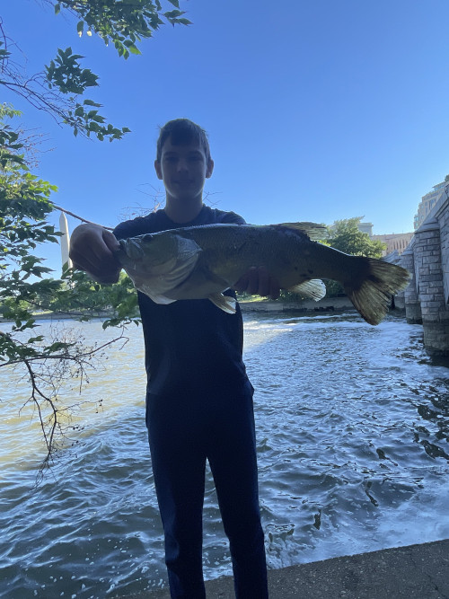 Cole Wrege Story Catch