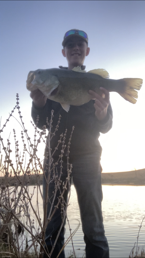 Paxton Huseman Story Catch