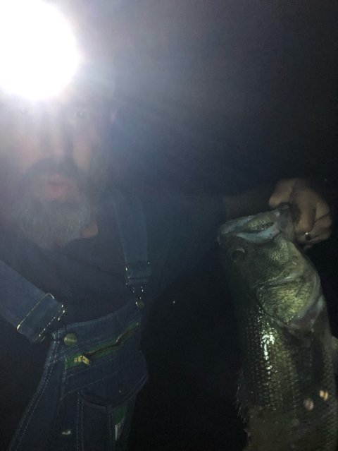 Joseph Branch Story Catch