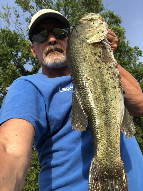 Steven Simon Story Catch