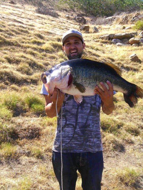 Daniel Acevedo Story Catch