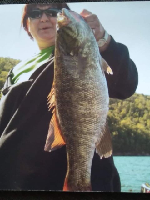 Jody Sholley Story Catch