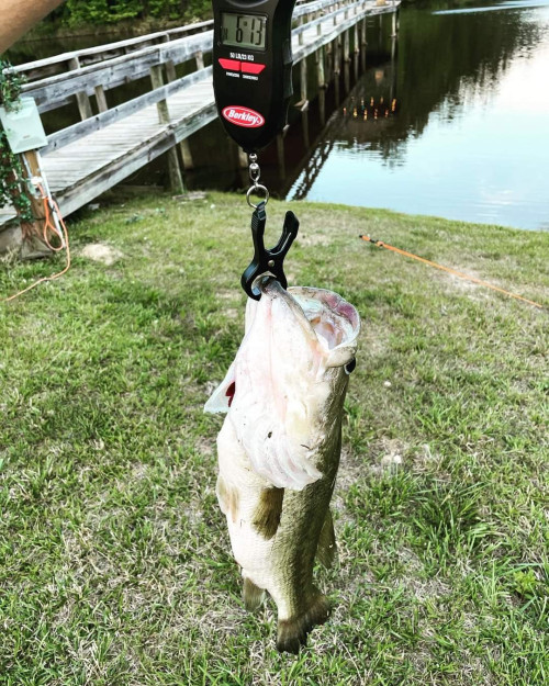 Brandan Collier Story Catch