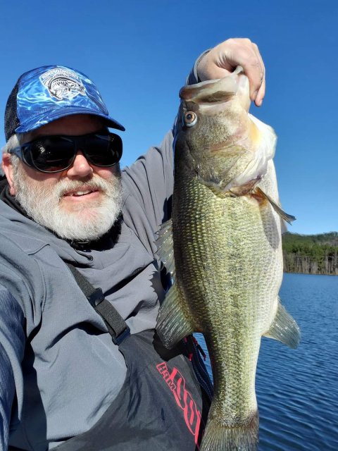 Dennis Shiley Story Catch